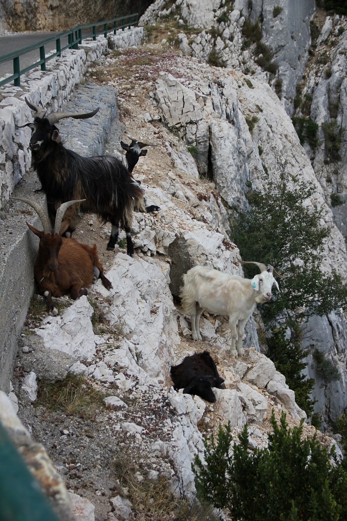 Gorges du Verdon