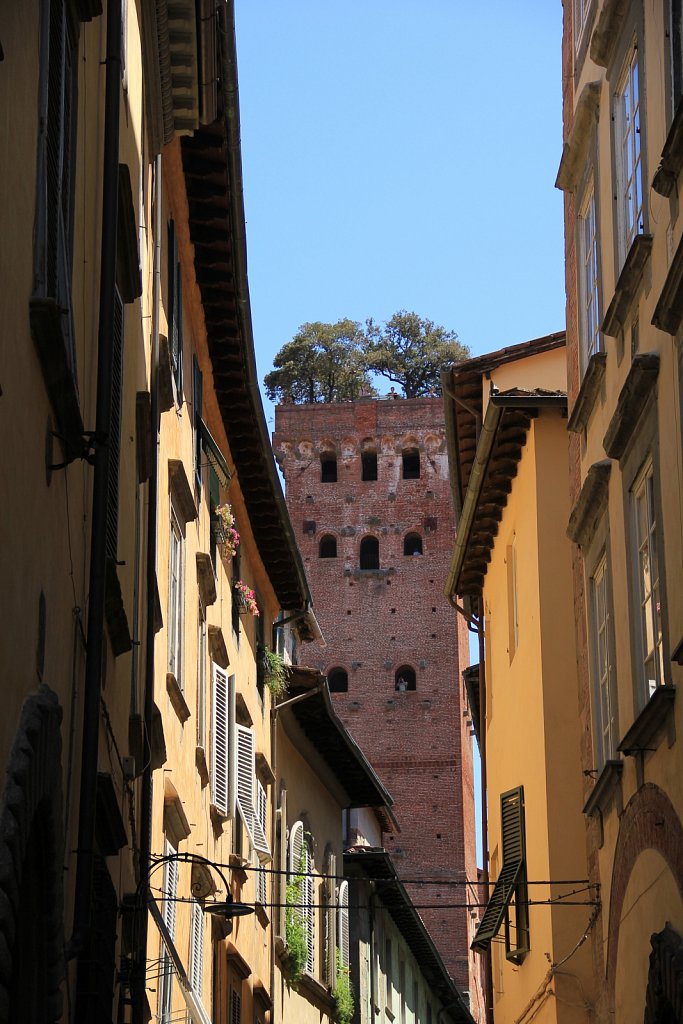 Lucca - Torre Guinigi