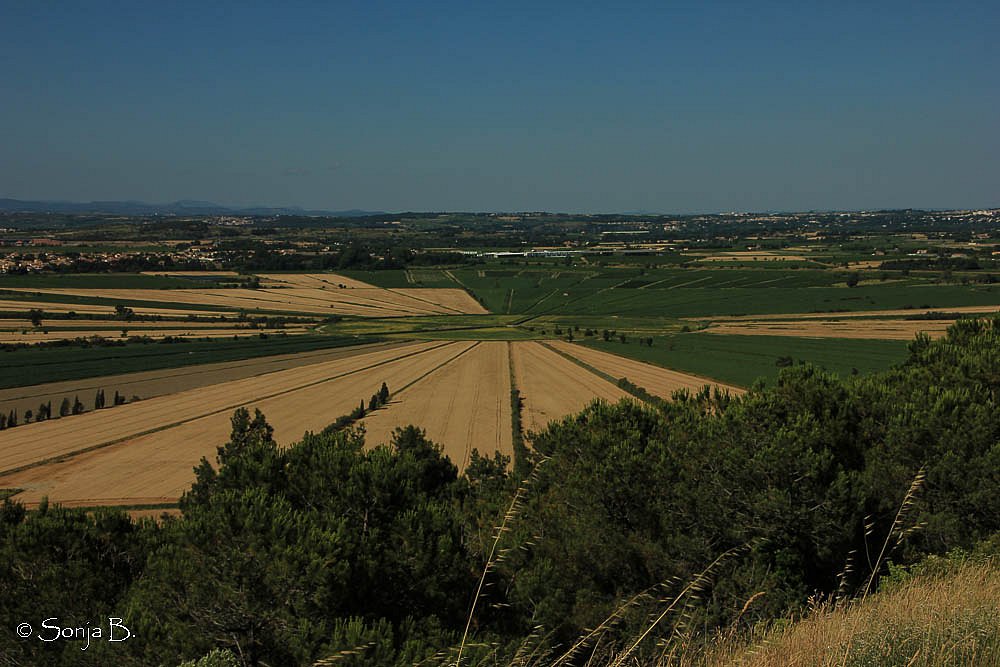 Etang de Montady