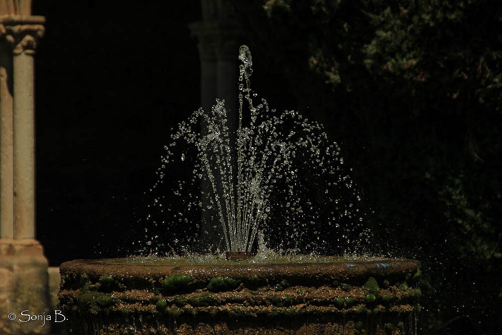 Abbaye de St. Hilaire