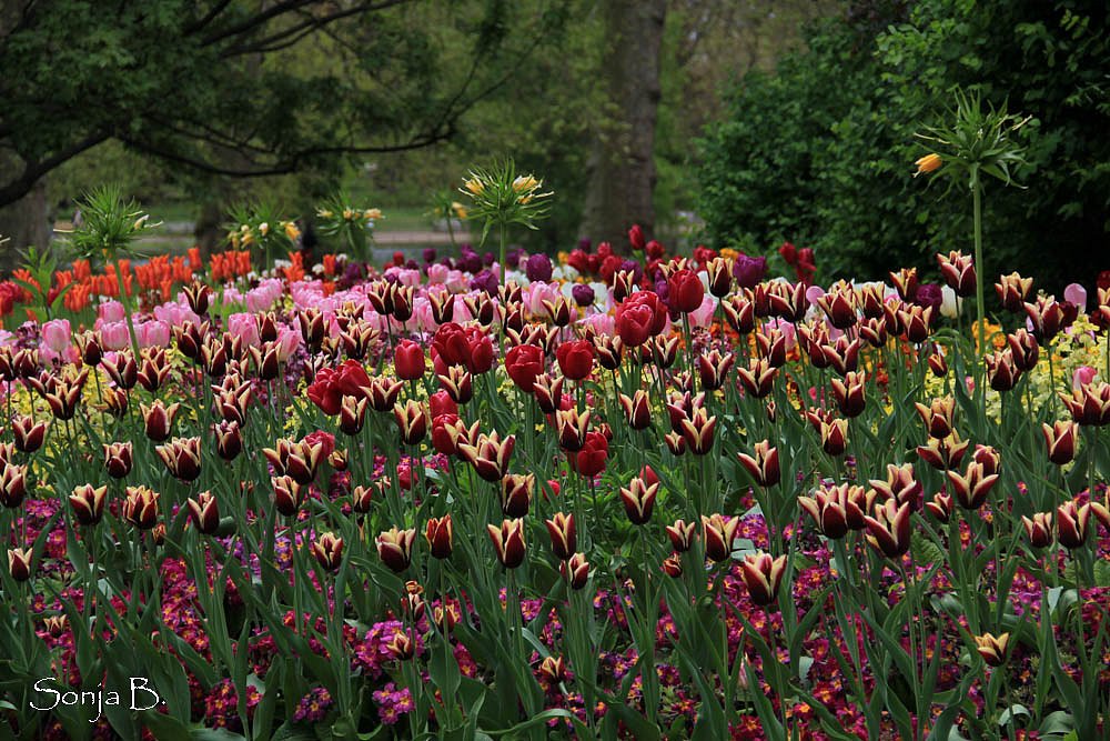 St. James's Park