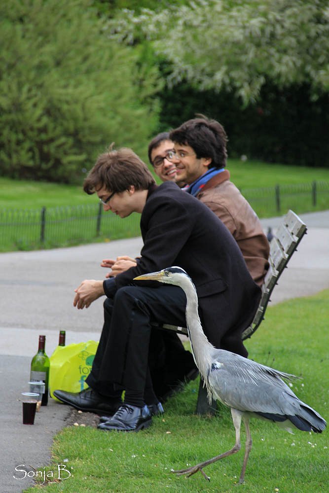 St. James's Park